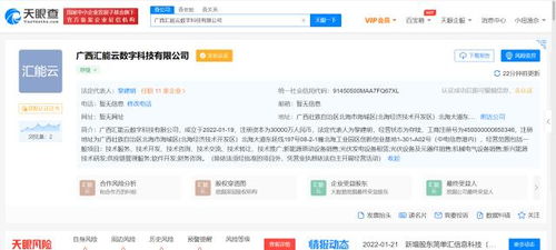 TCL跨界布局新能源，成立數字科技公司聚焦新興能源技術研發